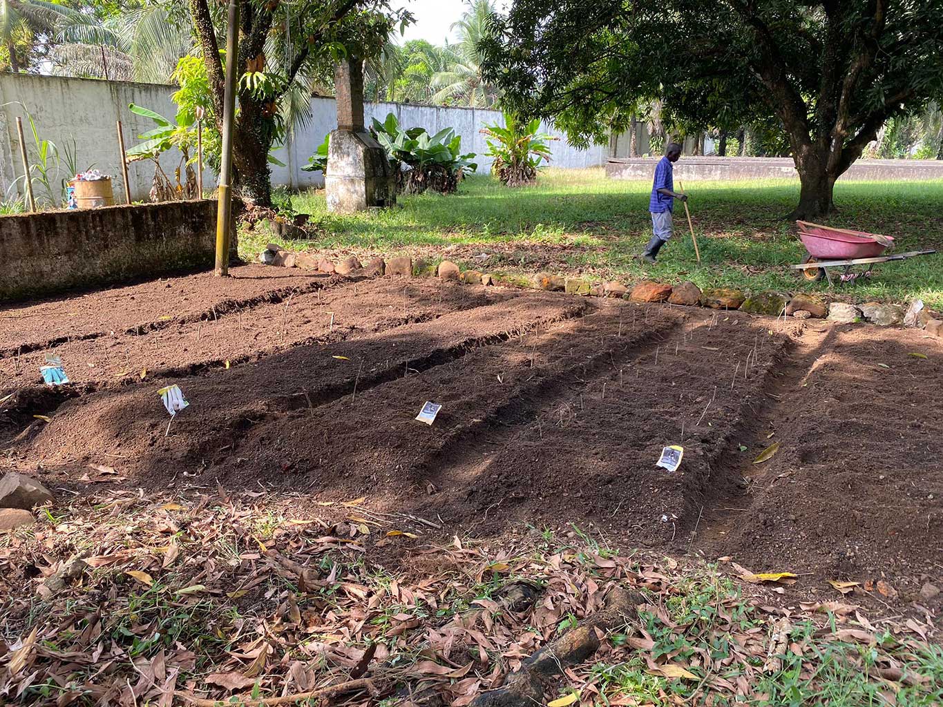 Nuevo huerto en el Saint Benedict Menni Mental Health Center